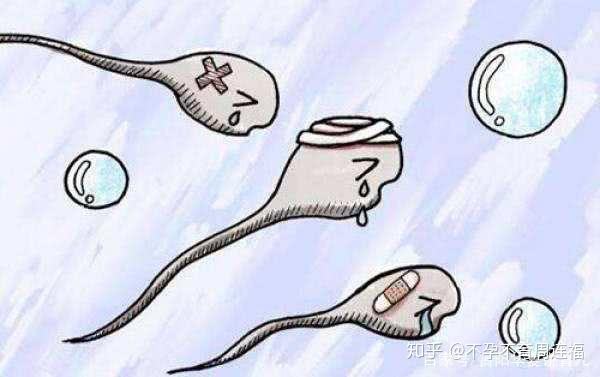 ֢ɵΣʲô